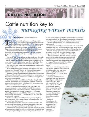 Page TSN LSG 2020 06