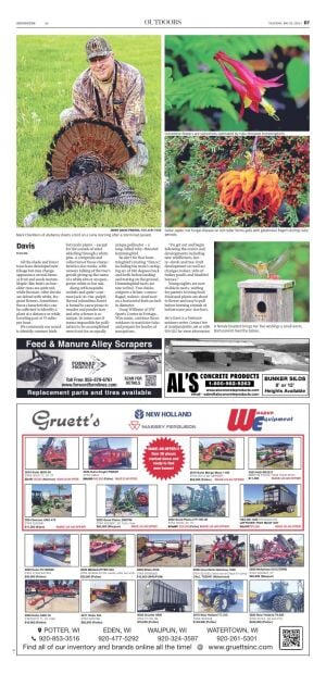 Page D7