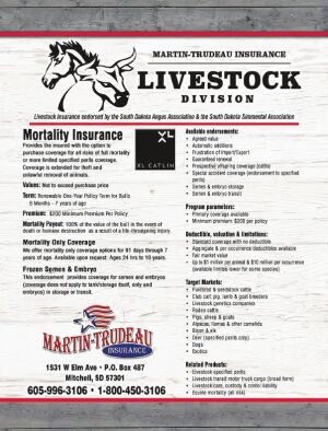 Page TSN LSG 2020 25