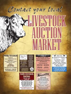 Page TSN LSG 2020 11