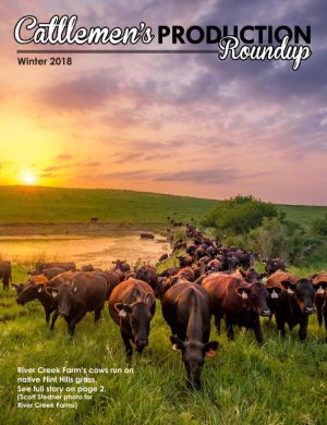 Page COVER