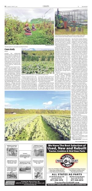 Page C4