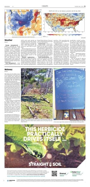 Page C5