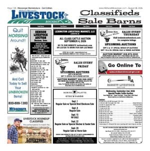 Page E12