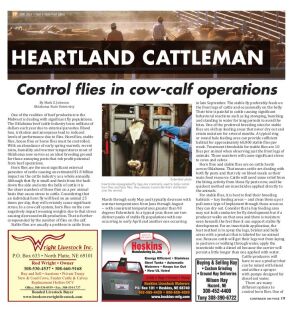 Page A017