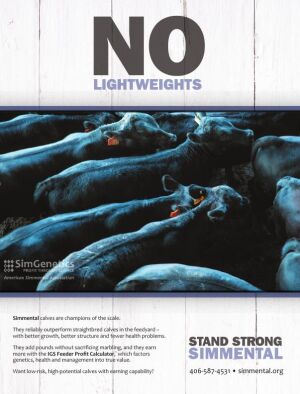 Page TSN LSG 2020 35