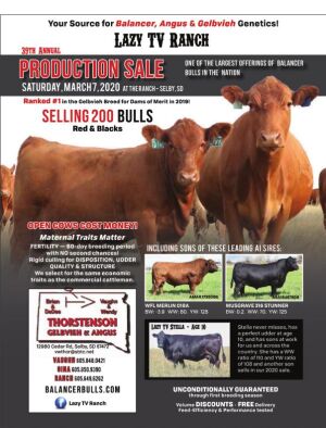 Page TSN LSG 2020 29