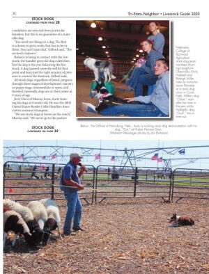 Page TSN LSG 2020 30