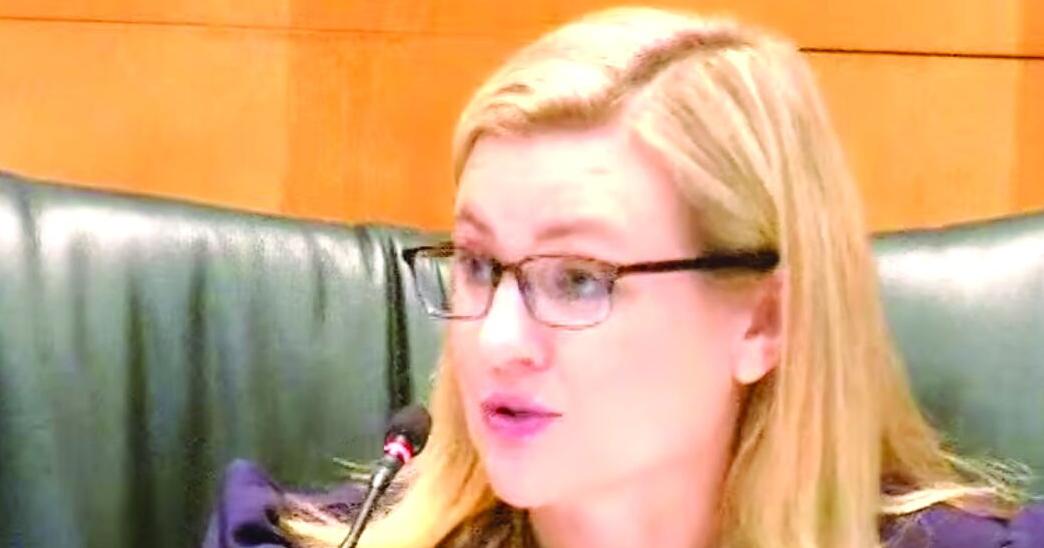 Data center request sparks council hand-wringing