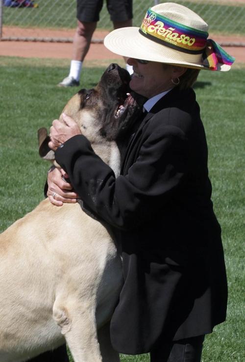 Ahwatukee Dog Show
