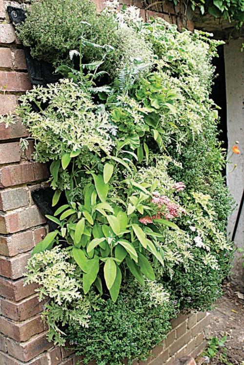 Gardening vertical
