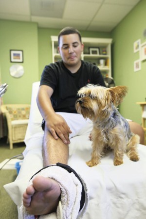 potato chips pomeranian rescue