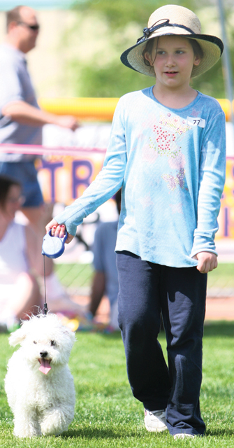 Ahwatukee Dog Show this weekend