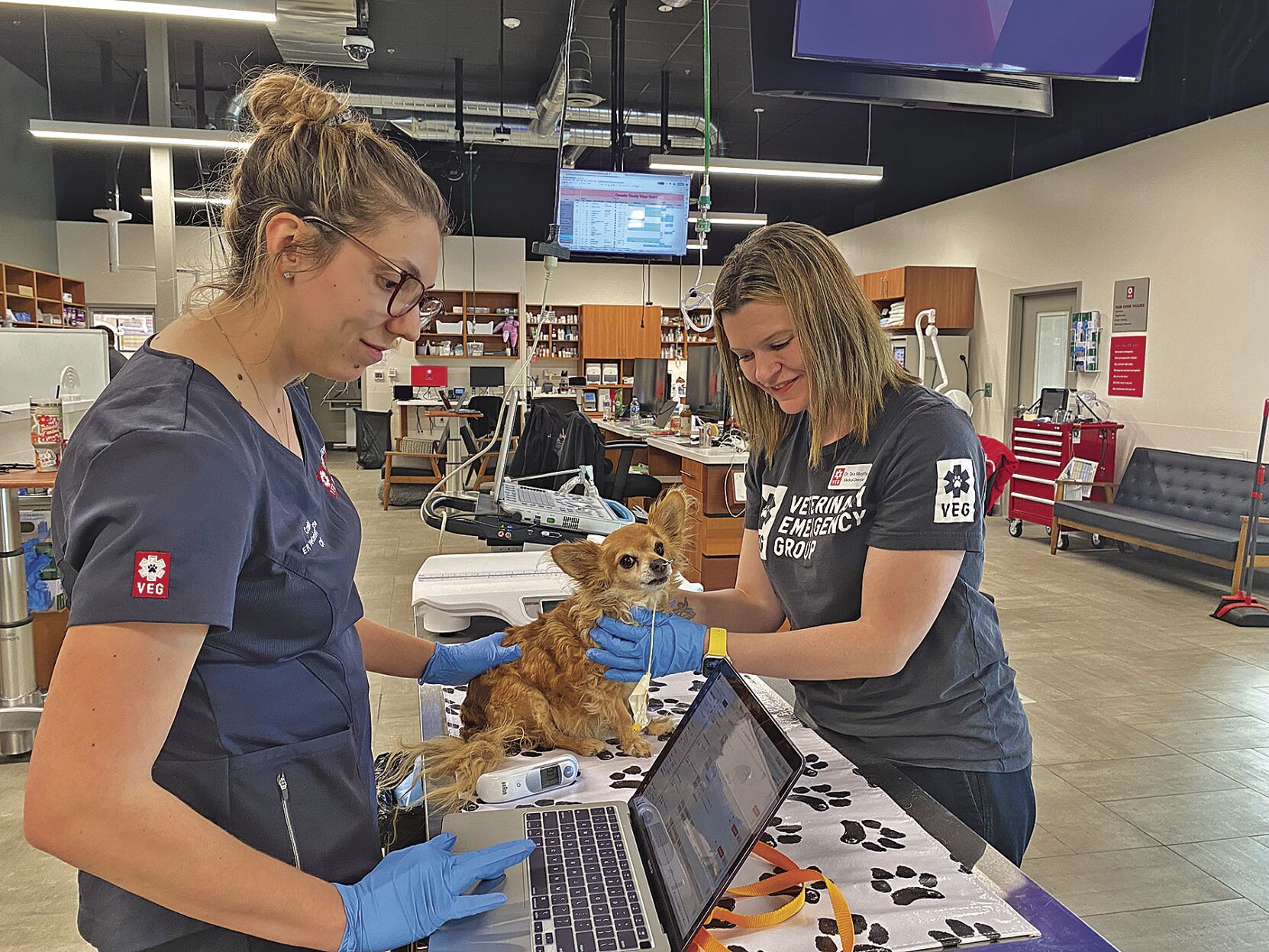 Tractor supply outlet veterinarian