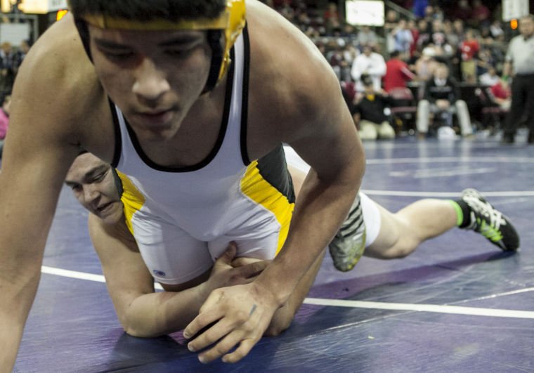 Wrestling: State Championships