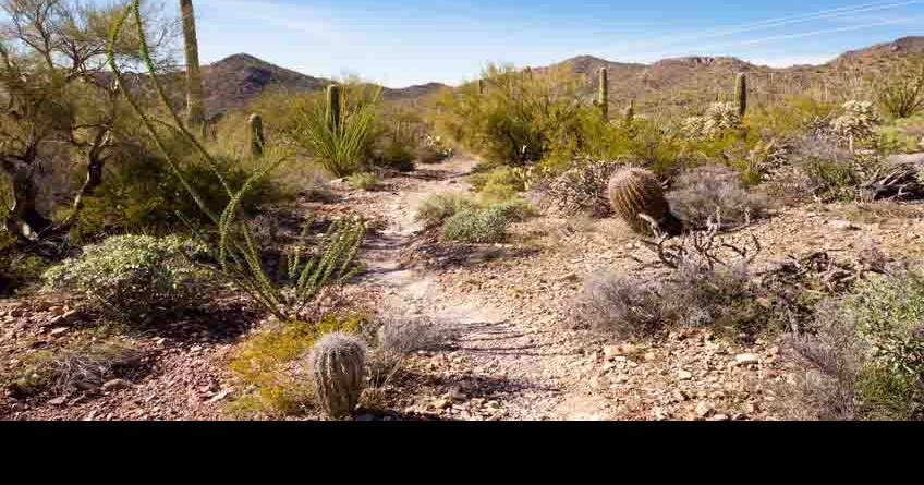 New trails at South Mountain offer new adventures | Community Focus ...
