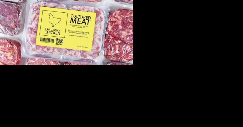 Kavanagh move waters down lab meat prohibitions - Vimarsana News
