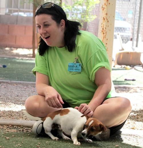 Arizona Animal Welfare League
