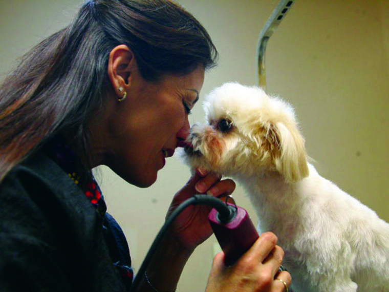 The best shop dog grooming