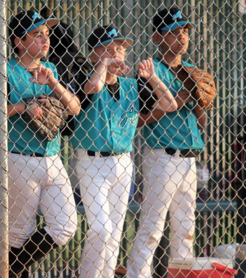 Little League All-Star