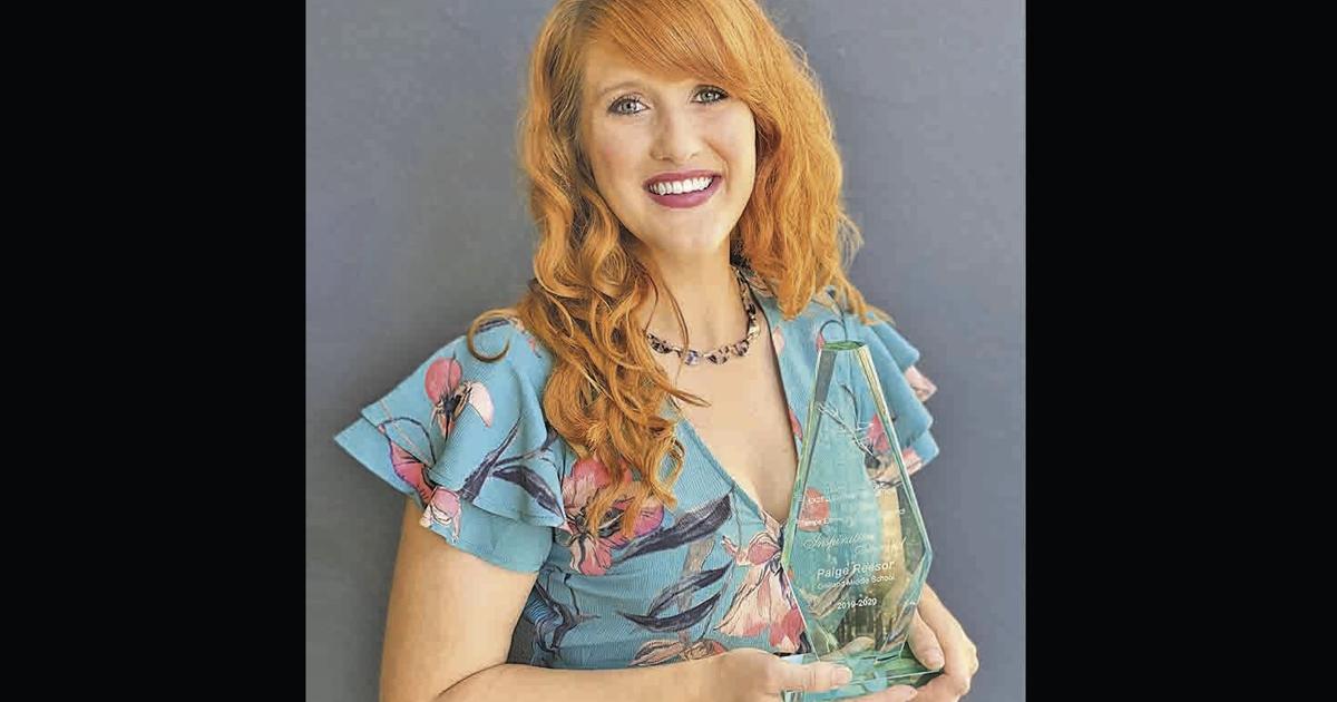 Reesor: My teaching background would be a big plus | Opinion ...