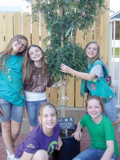 Local girl scouts donate a tree AAWL new adoption center