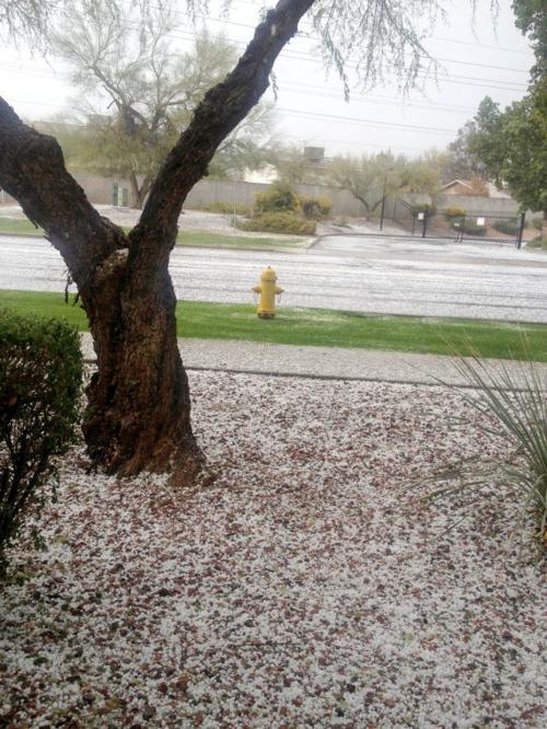 Hail in Ahwatukee
