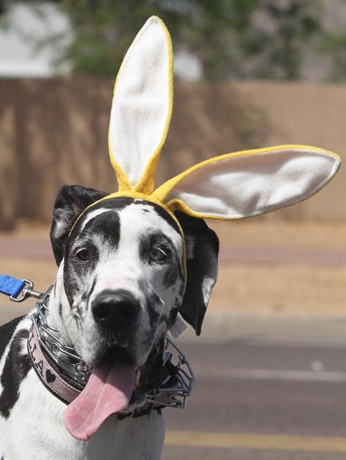 easter.parade009.JPG
