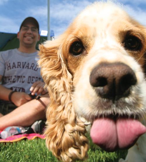 Ahwatukee Dog Show this weekend