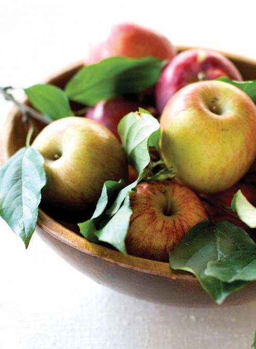 Apple primer
