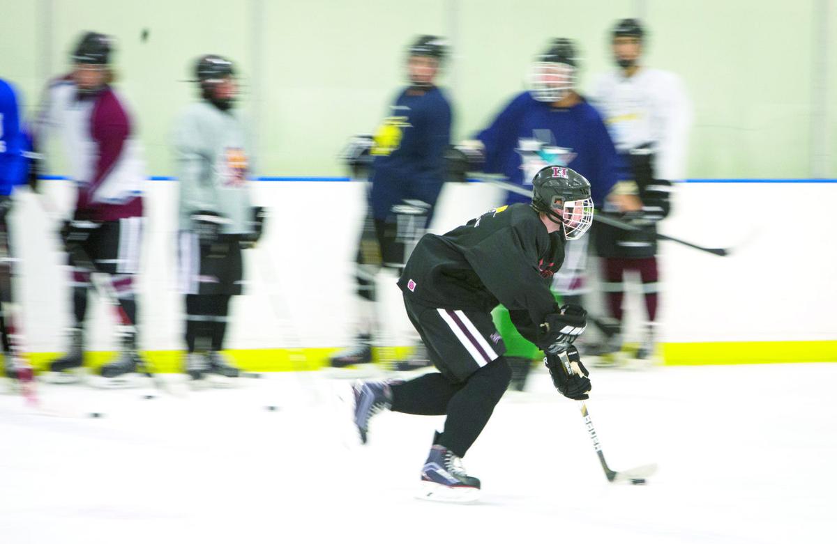 Finding the crease Hamilton hockey growing along with sport Sports