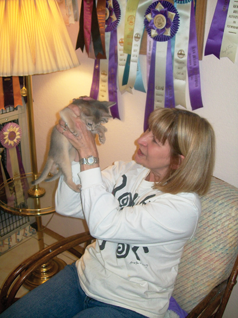 Cats have shows, too: 17th annual event coming to Phoenix next month