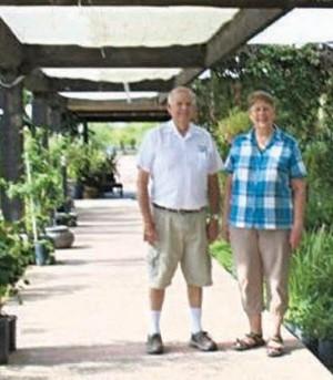 Sun or shade, where is the best place to plant in the Valley? | Smart