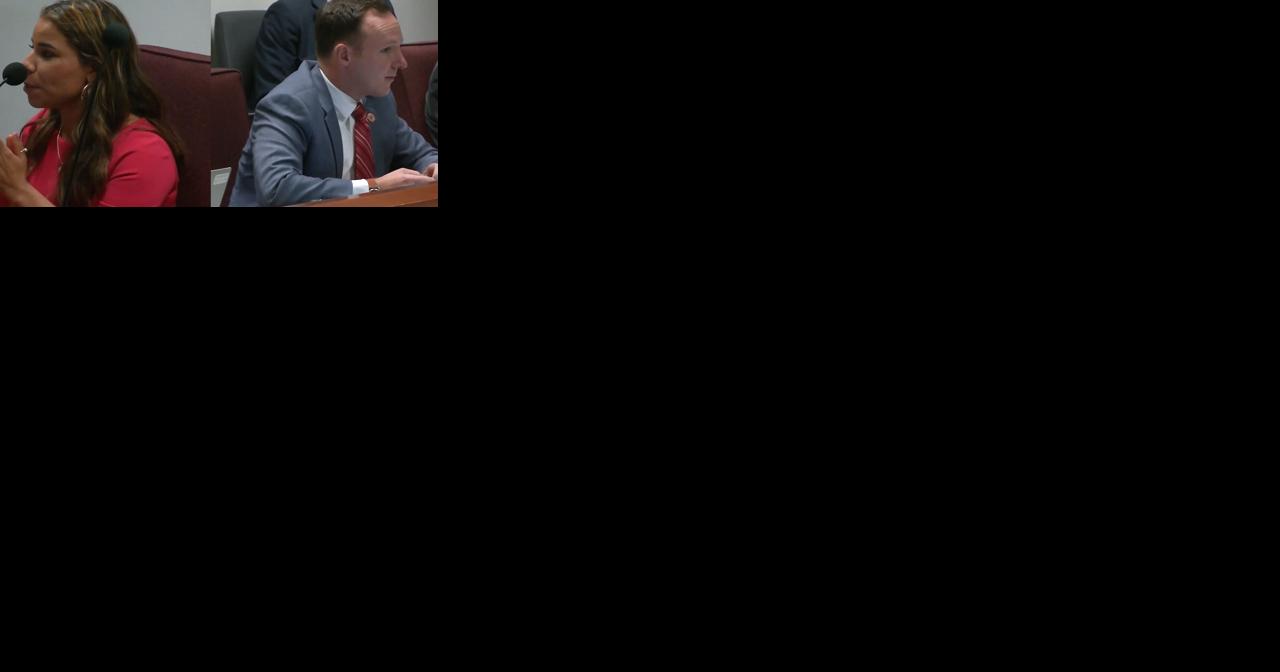 Bill may put Phoenix village planning committees out of business - Vimarsana News