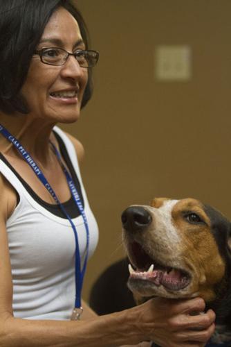 Therapy dogs bring smiles memories for Hawthorn Court residents News