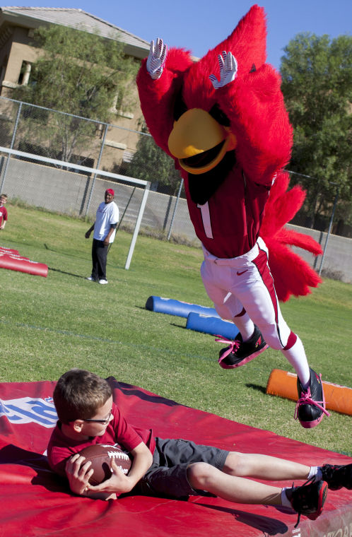 Cardinals at Horizon