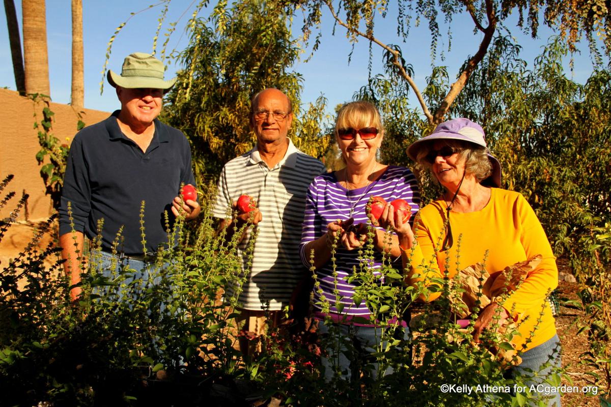 Several ways to get desert gardening questions answered | Community