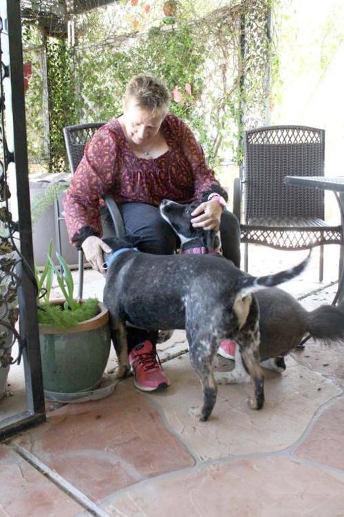 While You'R Away Pet Services
