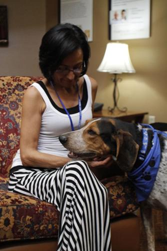 Therapy dogs bring smiles memories for Hawthorn Court residents News