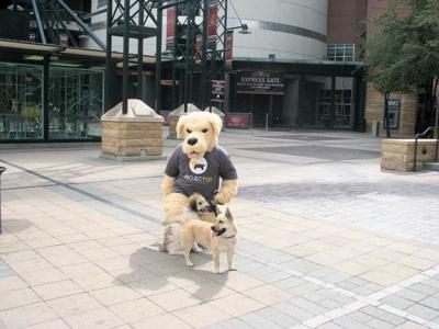 Bark in the Park