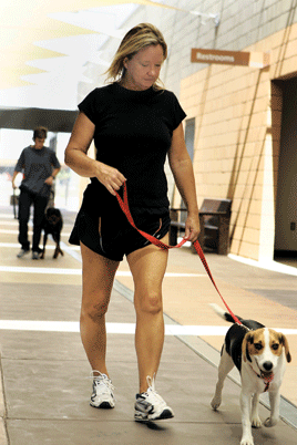 Man's best friend offers a helping paw