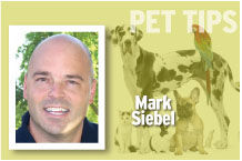 Pet Tips Mark Siebel