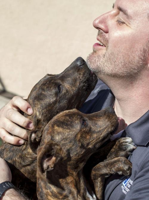 Lost Our Home Pet Foundation