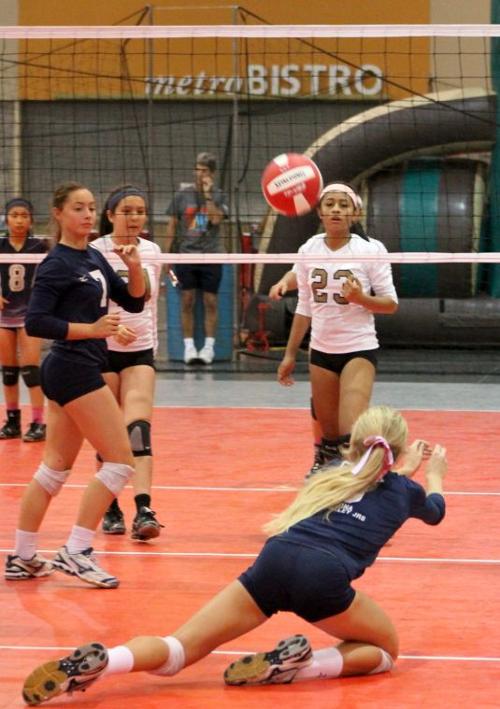 Volleyball Festival