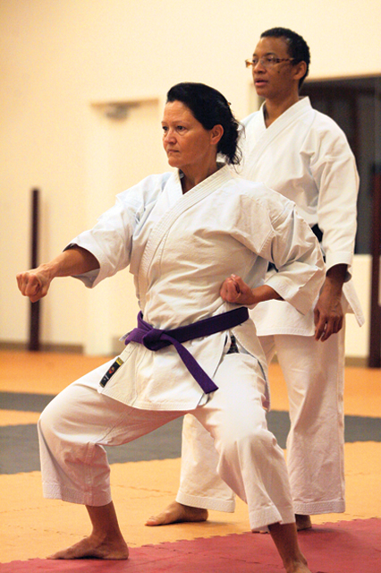 Chamber event features scratching, kicking and safety