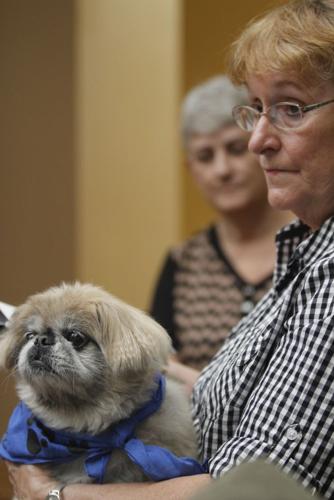 Therapy dogs bring smiles memories for Hawthorn Court residents News