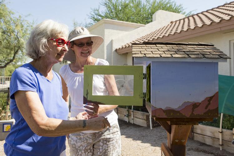 Building a community: Little Free Libraries popping up across Ahwatukee ...
