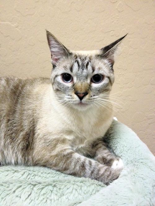 Someone to love: Coco