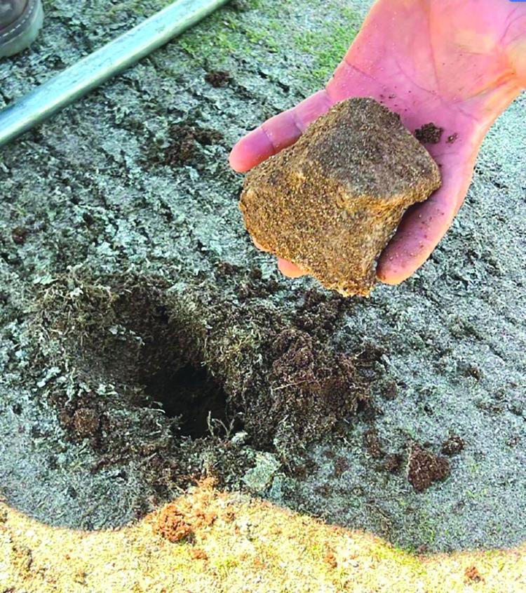 Foothills Golf Course owner sues Troon Golf News ahwatukee com