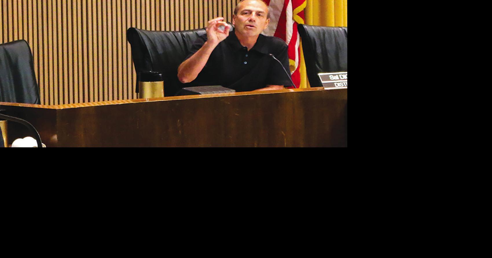 2 DiCiccio-supported initiatives now on August ballot | News ...